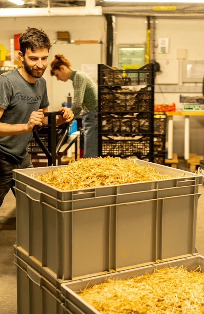 production de champignon a grenoble