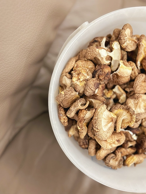 shiitake grenoble.webp