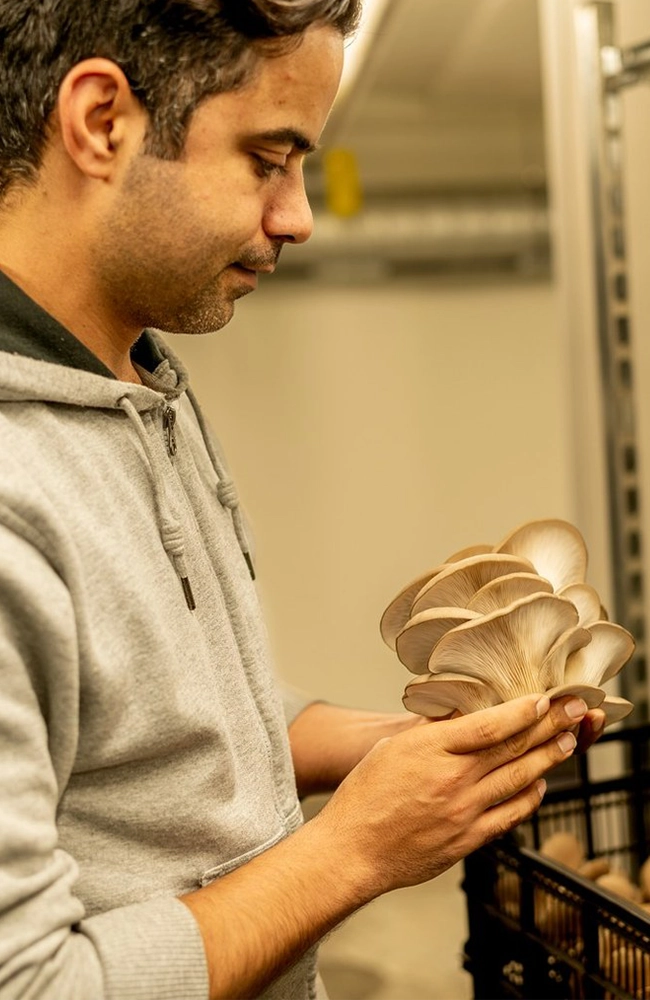 startup grenoble champiloop.webp